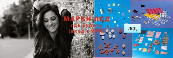 индика Краснослободск