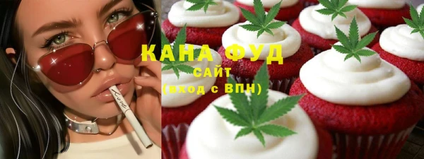 индика Краснослободск