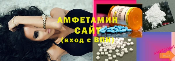 индика Краснослободск