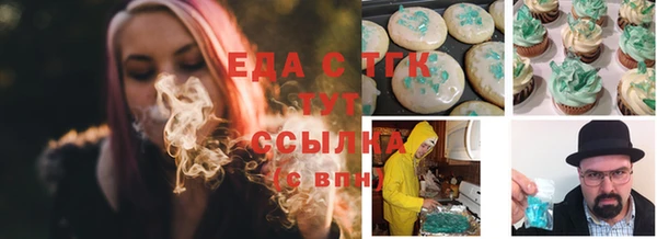индика Краснослободск