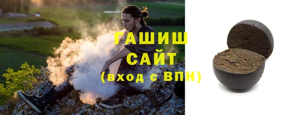 индика Краснослободск
