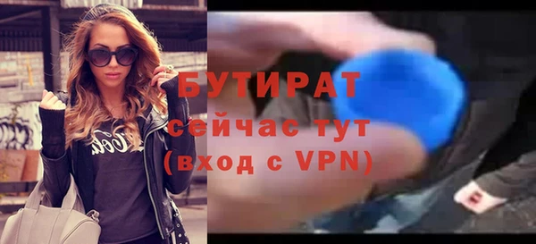 индика Краснослободск