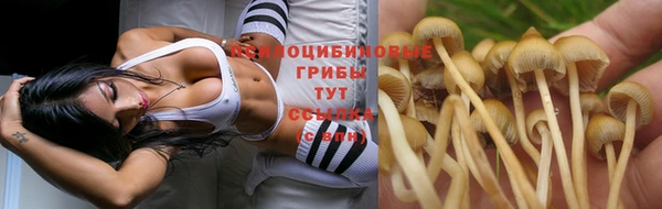 мяу мяу мука Корсаков