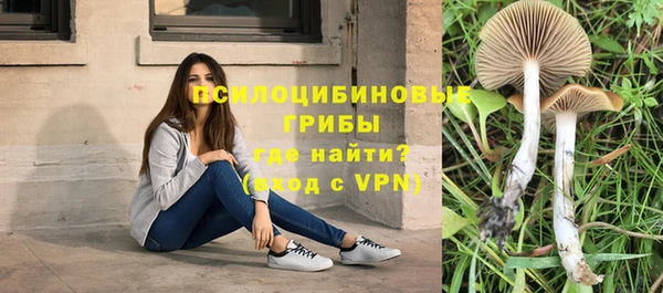 индика Краснослободск