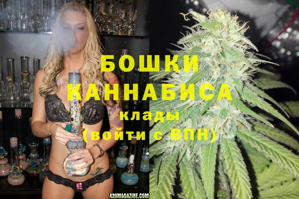 индика Краснослободск