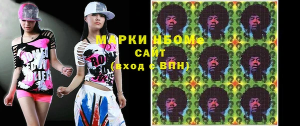 индика Краснослободск