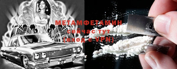 индика Краснослободск