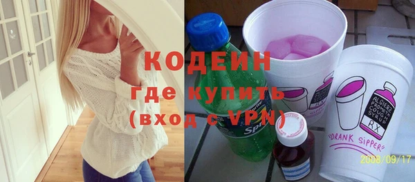 индика Краснослободск